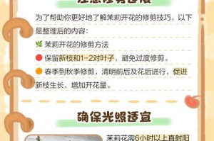 有效浇灌技巧（保证花朵饱满生长的关键技巧及注意事项）