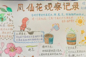 凤仙花换土的技巧与注意事项（打造美丽凤仙花，从土壤开始）