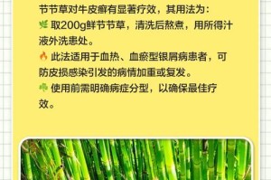 探究以节节草经怎么种植的方法与技巧（培育美丽草坪的秘诀与建议）