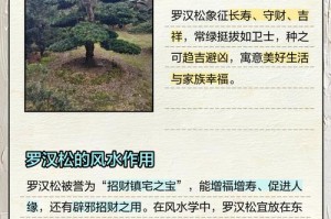 养护新盆罗汉松的秘诀（打造健康盆景，从罗汉松开始）
