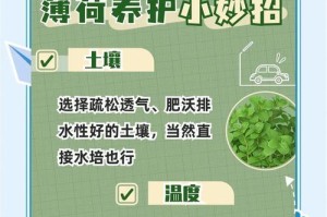 薄荷水插繁殖方法及注意事项（简单易行的薄荷繁殖技巧，让您轻松打造清新的花园）