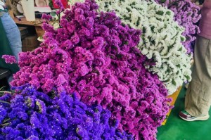 如何制作干花（轻松掌握制作干花的技巧，让您的花卉更持久）