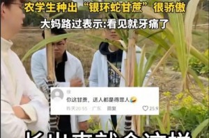 甘蔗的生长和产生过程（探秘甘蔗的生态和农耕技术）