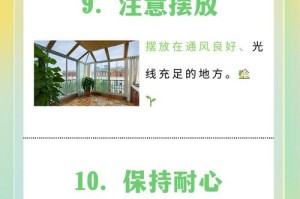 让树叶不枯的秘密（探索植物生命力的关键）