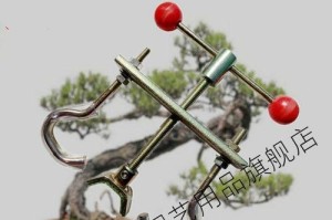 盆景扭弯的技巧与方法（将盆景塑造成曲线美的艺术品）