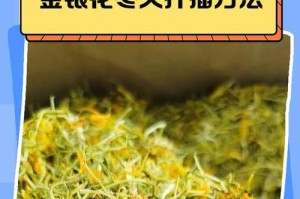 金银花种子保存技巧（如何留下纯正的金银花种子）