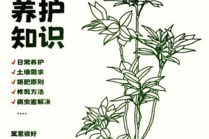 以岁平安花的养殖技巧与注意事项（让您的岁平安花健康茁壮成长的秘诀）