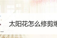 用金手指炸开锅炒菜，你也能成为厨艺大师！（轻松掌握金手指技巧，让你的菜肴口感更佳）