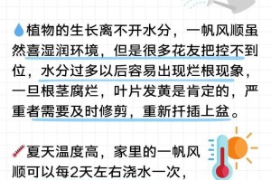 一帆风顺，卷叶子竟然如此轻松？（揭秘卷叶子的秘密技巧，让你轻松应对各种场合！）