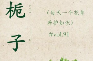北方的栀子花缤纷绽放（北方栀子花的种植、观赏与文化传承）