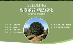 茶花树的繁衍之道（以茶花树为例，探究植物的繁殖方式及其生态重要性）