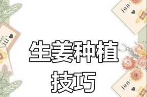 家里种姜，让生活更健康（如何在家种植姜，享受健康好处）