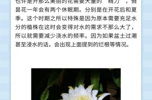 昙花开放的预兆（揭秘昙花开花前的兆象与判断方法）