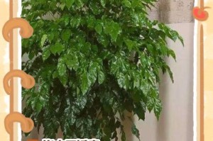 枯叶上的无限生机（探索艺术中的枯叶之美）