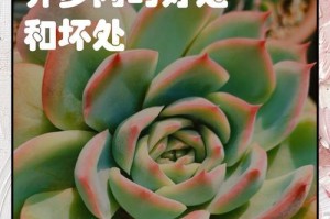 多肉植物养护指南（打造绿意盎然的多肉花园，从这里开始）