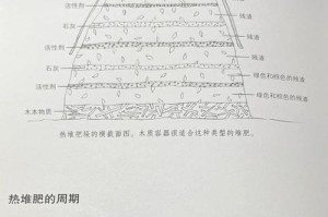 自制养花肥的方法（简单制作养花肥的步骤，助力花草健康生长）