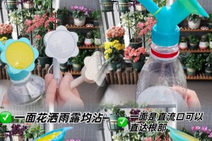 塑料瓶浇花的水——环保创意利用（将废弃塑料瓶变废为宝，为花儿提供滋润生命之源）