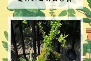 文竹品种鉴别与特点解析（了解文竹品种，从叶片、茎秆、根系等方面入手）