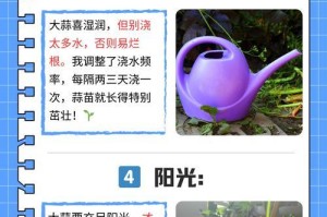 如何在地里种蒜黄（学习如何种植健康美味的蒜黄）