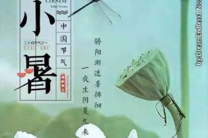 莲藕的营养价值（探究莲藕的碳水化合物含量及其营养成分）
