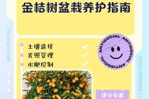 金橘树叶子掉落的原因及解决方法（为什么金橘树会掉叶子？如何预防和治理？）