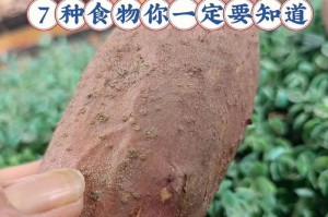 红薯开花了还能吃吗？（红薯开花与食用的关系及注意事项）