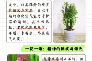 龙骨浇水的正确方法（打造健康茁壮的植物）