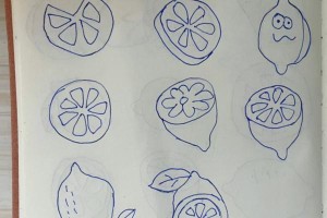 柠檬片的花艺创意与用途