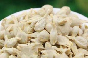 橙子种子可以吃吗？（探究橙子种子的营养价值与食用方法。）