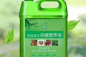 营养液（全面解析营养液在菜园中的应用及使用技巧）