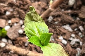 爱的力量（寻找关键时刻的关爱，让生命重焕活力）