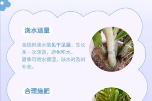 金钱如何引发黄色事件及应对方法（揭开以金钱串发黄的黑幕，保护社会风气的净化者）