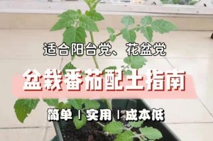 半边莲的土壤配方与种植技巧（打造最适宜半边莲生长的土壤与营养条件）