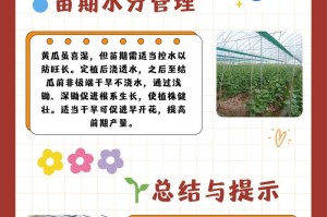 黄瓜生长速度惊人，一年可长数十倍！（探究黄瓜生长速度的原因及优缺点）