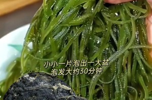 海带的冷冻保存方法详解（如何让海带长期保存新鲜美味？）