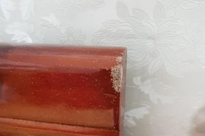 如何有效应对锦头虫子的侵袭（保护作物，预防和控制锦头虫子的方法与技巧）