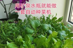在水盆里种菜，轻松享受居家农耕乐趣（探索室内种植，打造绿色家园）