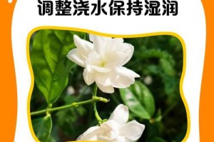 茉莉的叶子为何干枯？（解析茉莉叶子干枯的原因及对策）