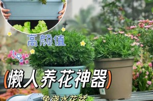 花盆浇水后的养护指南
