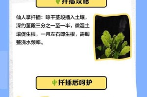 修剪仙人掌的技巧与方法（打造健康美丽的仙人掌花园）