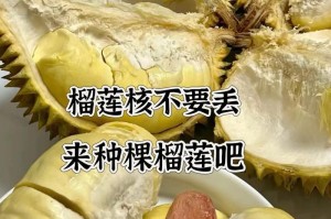 如何种植发芽良好的榴莲种子（种植方法、步骤及关键要点）