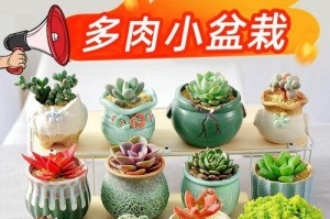 养殖以八千代为主题的指南（了解八千代养殖的关键要素，迈向成功！）