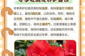 为什么杜鹃会掉绿叶子？（探究杜鹃掉绿叶子的原因及解决办法）