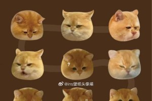 用水果拼出可爱小狗，创意无限（水果拼小狗，营造美好生活）