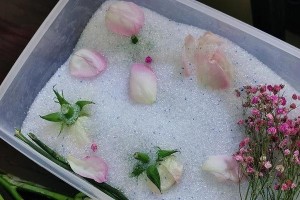 非洲菊干花制作与保存的技巧（以非洲菊为材料制作美丽干花，赏花不止于时）