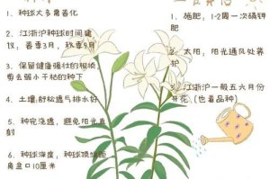 百合叶子发黑的原因及解决方法（保持百合叶子健康绿色的秘诀和技巧）