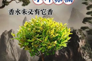 小叶赤楠喜水特性全解析（探究小叶赤楠的水生适应能力）