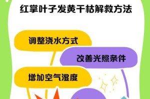 红掌叶子花为何会发黑？（如何保护红掌叶子花不发黑）