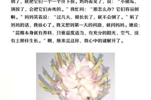 从蒜瓣到蒜苗（以蒜瓣为种子，一起探索蒜苗的成长奥秘）