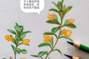 金鱼花的移植指南（从选址到养护，教你一步步成功移植金鱼花）